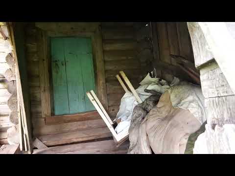 Видео: Посясье.  Мокрый поход.  Июнь 2024 года.