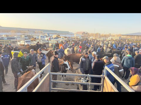 Видео: БЕРУНИЙ СИГИР БОЗОРИ 3 КИСМ 02.11.2025