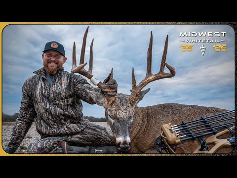 Видео: Приманивание королевского оленя | Белохвостый олень Среднего Запада