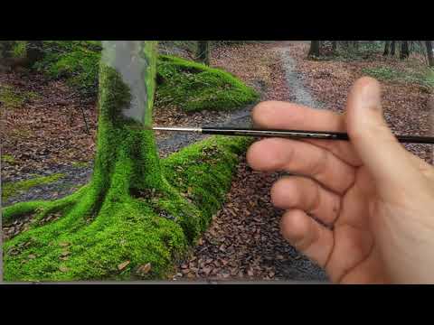 Видео: Рисуем зимние деревья и мох | Эпизод 150