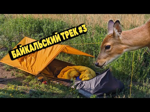 Видео: НОЧУЮ В БИВИ МЕШКЕ с КОСУЛЯМИ Зун Куржитуй. БАЙКАЛЬСКИЙ ТРЕК 140 КМ. День 2 Серия 3
