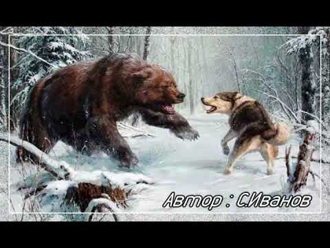 Видео: Песня "Лайка" (из 80-х) Профессиональное исполнение(не моё)