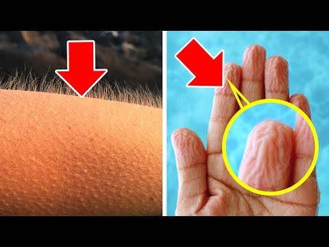 Видео: 90 фактов, о которых вы никогда не подозревали, но хотели узнать