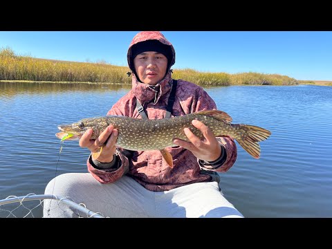 Видео: Жор ЩУКИ.. Подводная съемка рыбалки..#fishing #щука #рыбалка #врек #рыбалкавидео #подводнаясъёмка