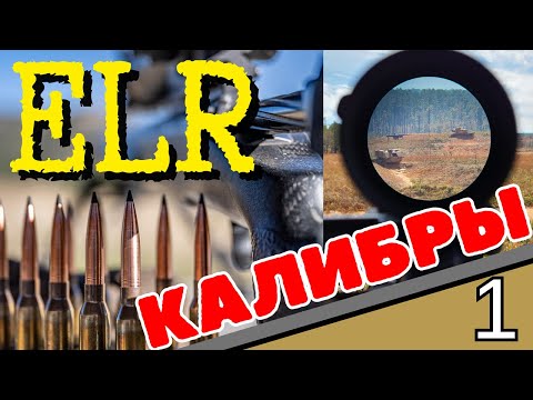 Видео: ELR Сверхдальняя стрельба. Гребенюк
