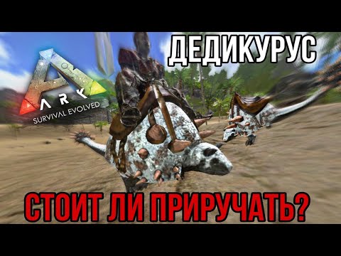 Видео: Дедикурус ARK MOBILE | стоит ли приручать ? | Дедикурус Арк Мобайл | Арк Мобайл