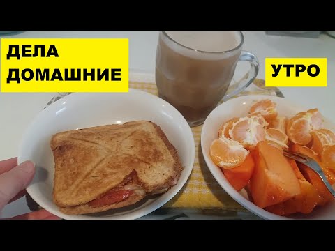 Видео: УТРО...ОРХИДЕИ...ЗАВТРАК... ДЕЛА ДОМАШНИЕ