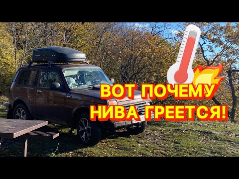 Видео: ВОТ ПОЧЕМУ НИВА ГРЕЕТСЯ!