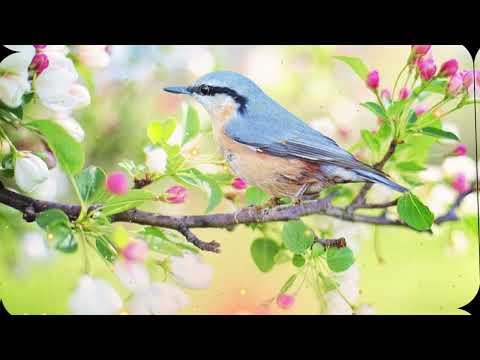 Видео: 3 Ласковых Слова, От Которых Женщина Теряет Голову — Используй С Умом!