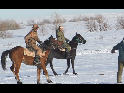 Видео: Жизнь на конеферме. Конец февраля 2024г.