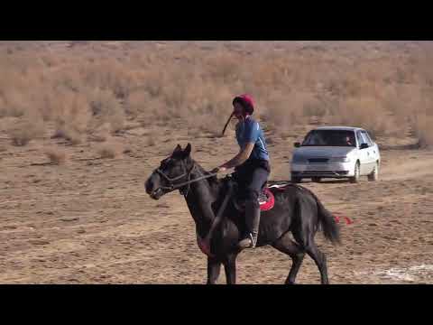 Видео: Жырык ауылы кокпар