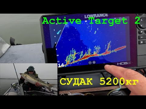 Видео: Судак 5200кг - Active Target 2