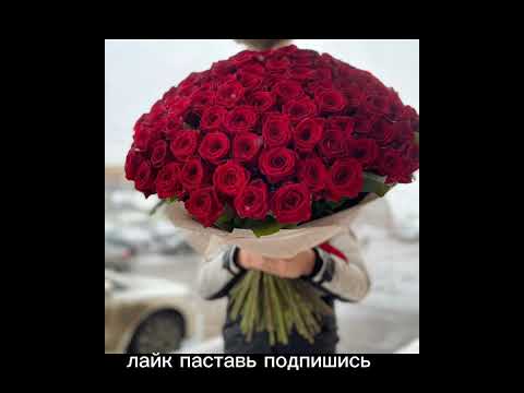 Видео: цыганская песня алые цветы 🥀🥀🥀