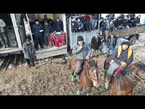 Видео: Көкпар 17 12 2023