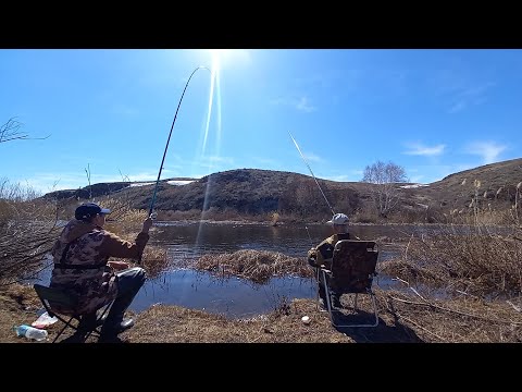 Видео: Открытие сезона. 10 кг за четыре часа. Река ТАНАЛЫК.