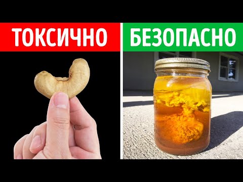 Видео: 100 запрещенных вещей по всему миру, которые вас удивят!