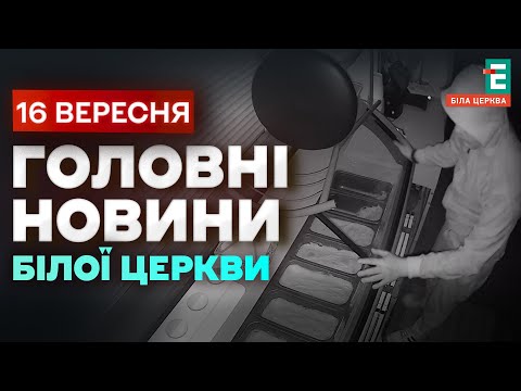 Видео: Нічний наліт на кіоск з морозивом | НОВИНИ 16.09