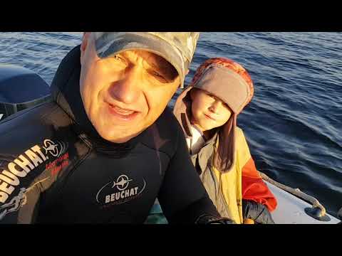 Видео: ПОДВОДНАЯ ОХОТА ДАЧА ПОСЛЕ ОБЕДА !