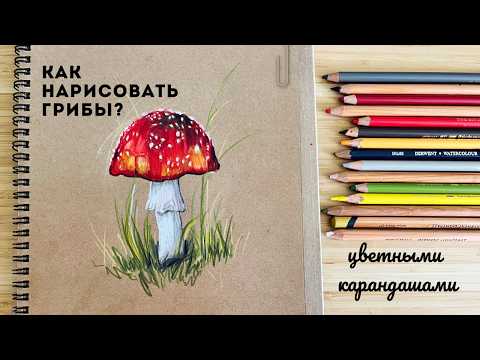 Видео: 🍄Рисуем МУХОМОР! Простой СКЕТЧИНГ цветными карандашами