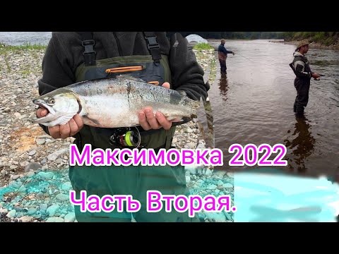 Видео: Максимовка 2022. Часть Вторая. Малюта Симуж.#cherrysalmon #рыбалка #сима