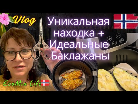 Видео: Баклажаны, как в ресторане, осенний лес и моя удача на блошином рынке /Nº9 - 10.2025