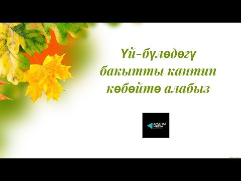 Видео: Үй-бүлөдөгү бакытты кантип көбөйтө алабыз?