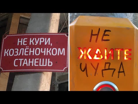 Видео: Фото подписчиков Фактории (часть 66)