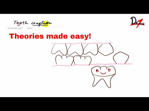 Видео: Как прорезывается зуб: ТЕОРИИ!