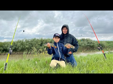 Видео: Новый места на реке Нура.. #окунь #карась #судак #язь #плотва #налим #рыбалка #рыба #рыбак #нура