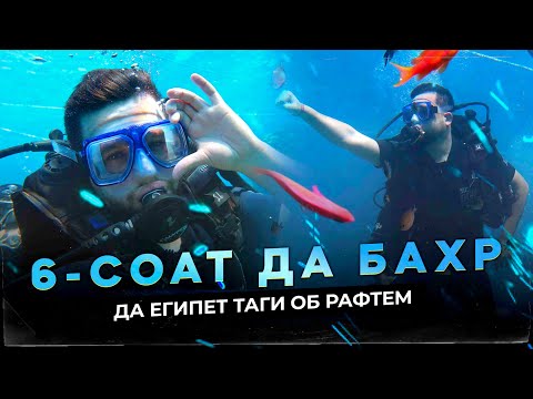 Видео: 6 СОАТ ДА БАХР, Египет белый остров, Дайвинг