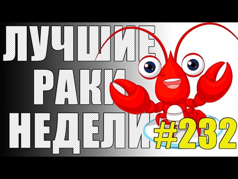 Видео: ЛРН выпуск №232 🤪 КОЛЕСНЫЙ АРТАВОД и РАКООБРАЗНАЯ ВАНГА [Лучшие Раки Недели]