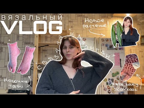 Видео: ВЯЗАЛЬНЫЙ ВЛОГ: мой первый кардиган, распаковка растения, носочки таби и снова жаккард