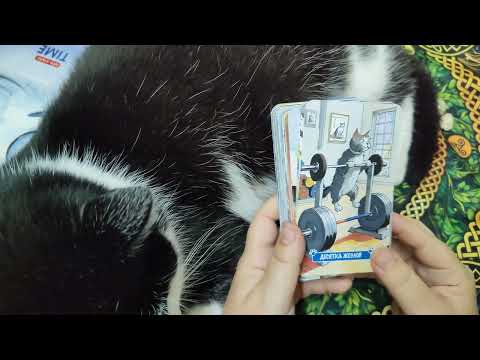 Видео: Таро Котики Тарограда 