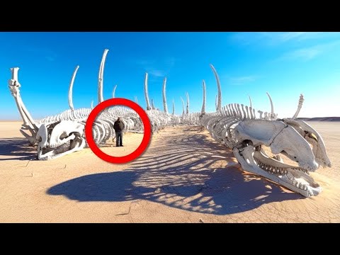 Видео: Самые Загадочные Открытия В Пустынях