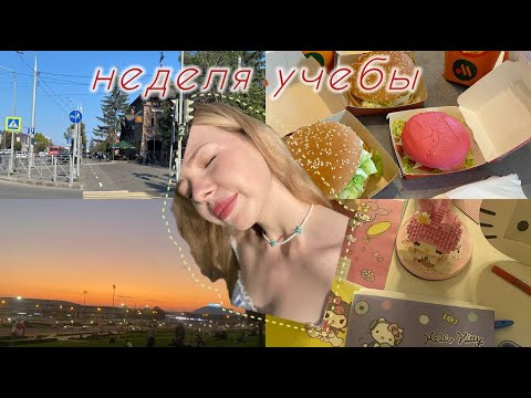 Видео: первая неделя учебы в КФУ: разговоры 💭, новые предметы и преподаватели 📖, прогулки 👩🏼‍🤝‍👩🏽, работа 📖