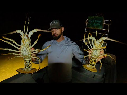 Видео: Секретные гусеницы Флорида-Кис ночью!!!