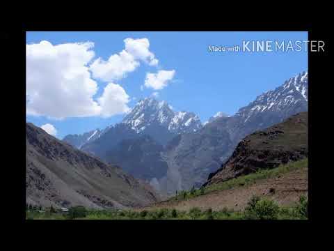 Видео: Саши Заифи Пе кишлок