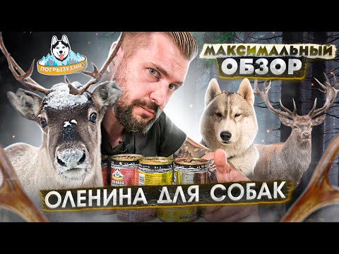 Видео: Обзор на консервы для собак Погрызухин с олениной | Шо это такое?