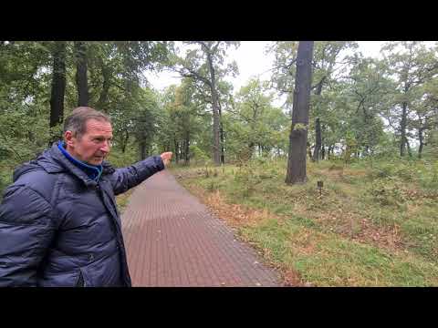 Видео: Парк Сирецький гай, аналіз стану, частина 1