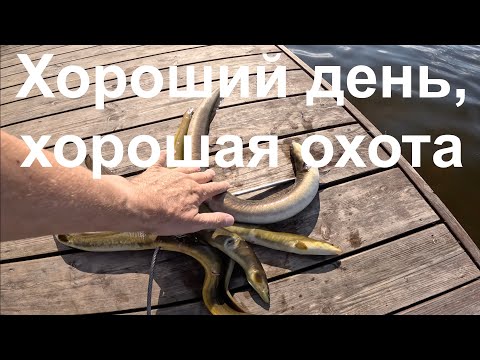 Видео: Хороший день, хорошая охота