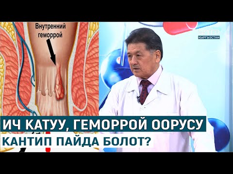 Видео: ИЧ КАТУУ, ГЕМОРРОЙ ООРУСУ КАНТИП ПАЙДА БОЛОТ?//ДЕН СООЛУК