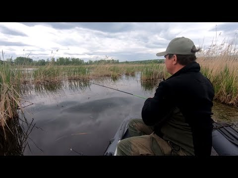 Видео: Рыбалка в камышах. Ловля щуки в камышах на неогруженную резину.