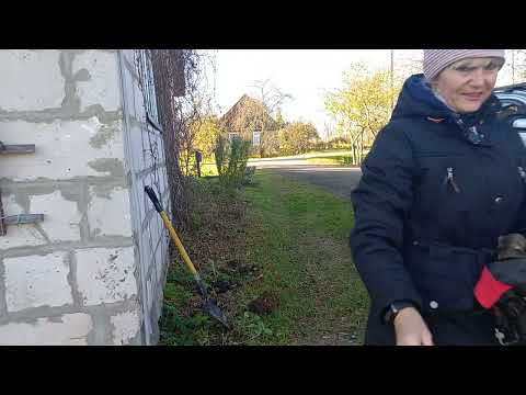 Видео: 3года После инсульта. Появилось вдохновение физически поработать👍