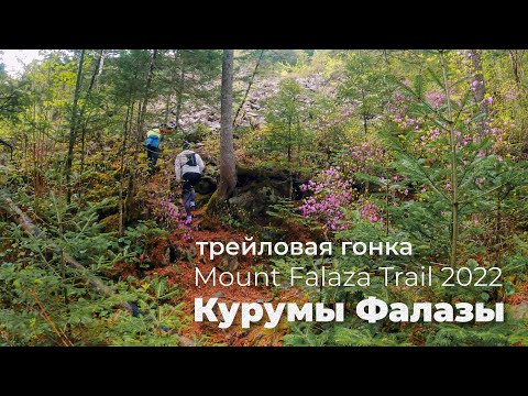 Видео: Трейловая гонка Mount Falaza Trail 2022. Гора Фалаза, Смольные водопады и окрестности. 14.05.2022