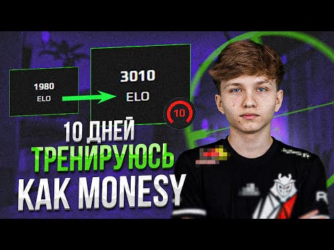 Видео: 10 ДНЕЙ ТРЕНИРОВАЛСЯ КАК MONESY и ПОДНЯЛ 3 000 ЕЛО! (CS:GO)