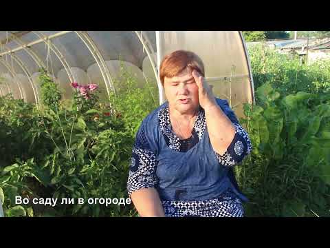 Видео: ЧТО ЖЕ Я НАДЕЛАЛА! Останемся БЕЗ БАКЛАЖАНОВ? Не повторяйте мою ошибку!