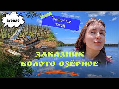 Видео: Заказник "Болото Озерное" в Рощино. Одиночный поход.