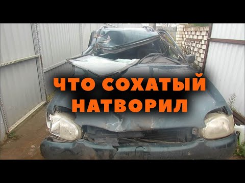 Видео: СБИЛ ЛОСЯ !