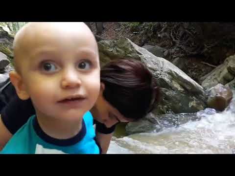 Видео: Водопад нашли в глуши леса и гор 🫶