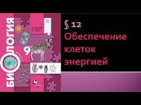 Видео: Биология 9 класс. Обеспечение клеток энергией